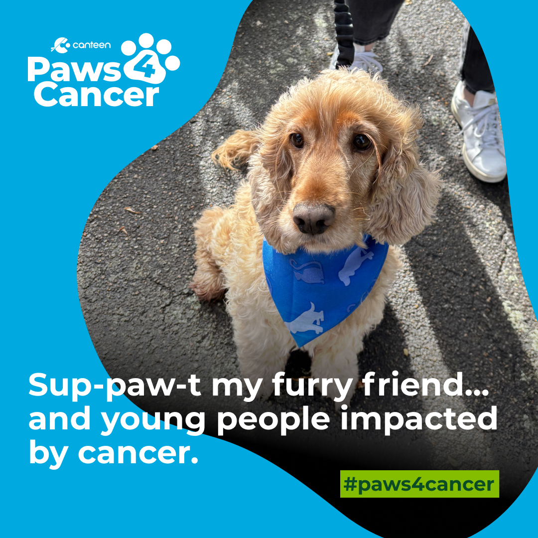 Sup-paw-t my furry friend!