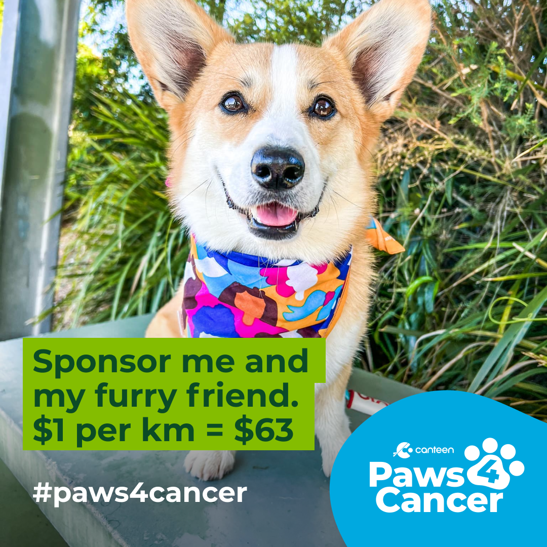 Sponsor me $1 per km
