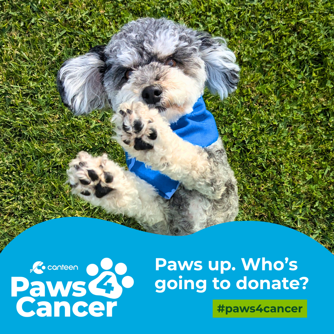 Paws up social post